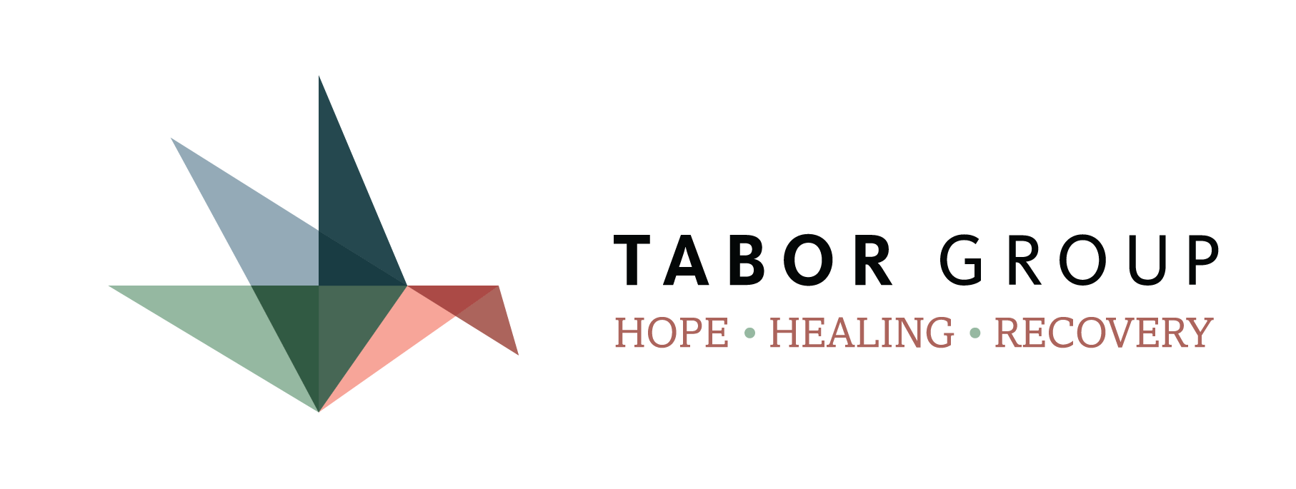 Tabor Group Logo