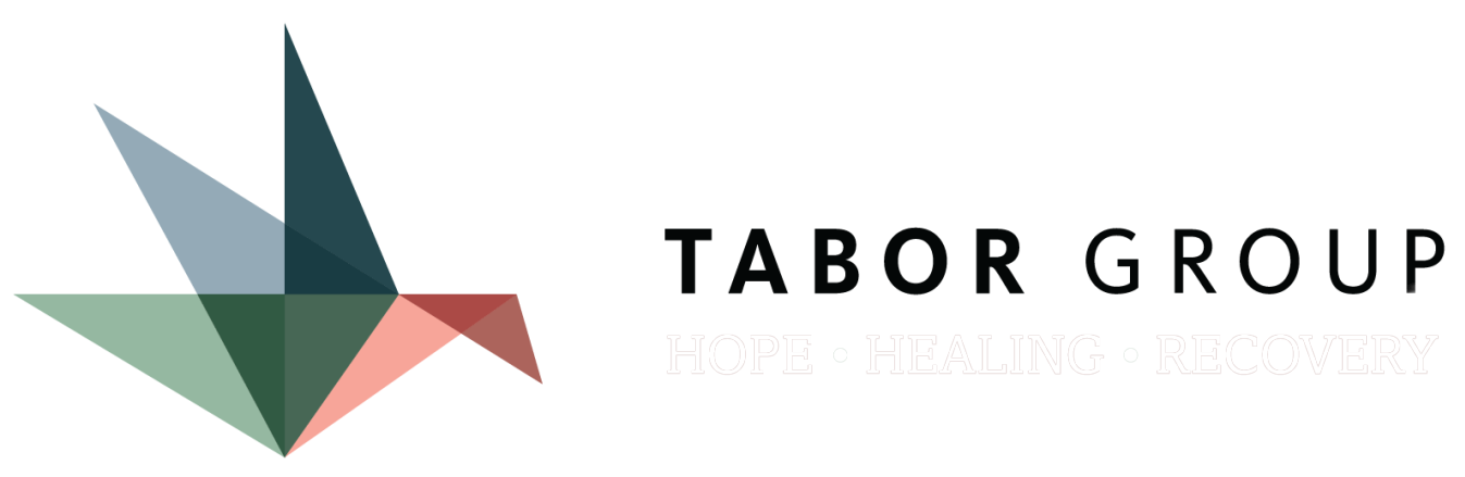 Tabor Group Logo Footer